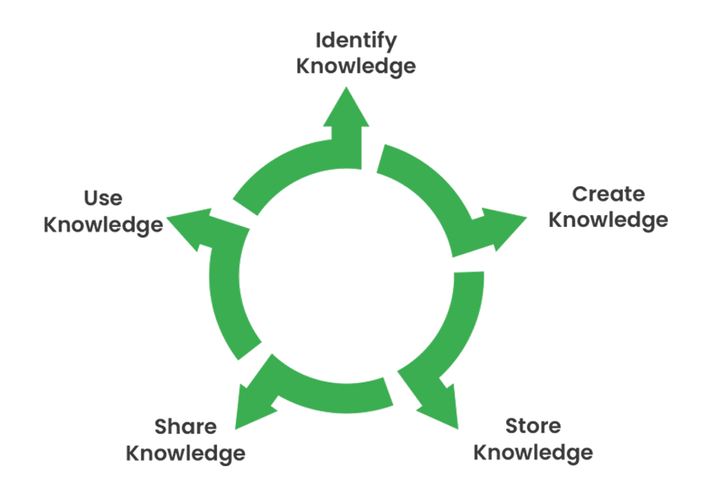 elipedia-cycle-2